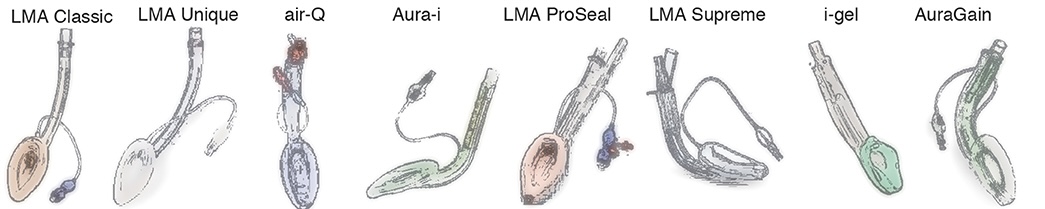 Various supraglottic airways